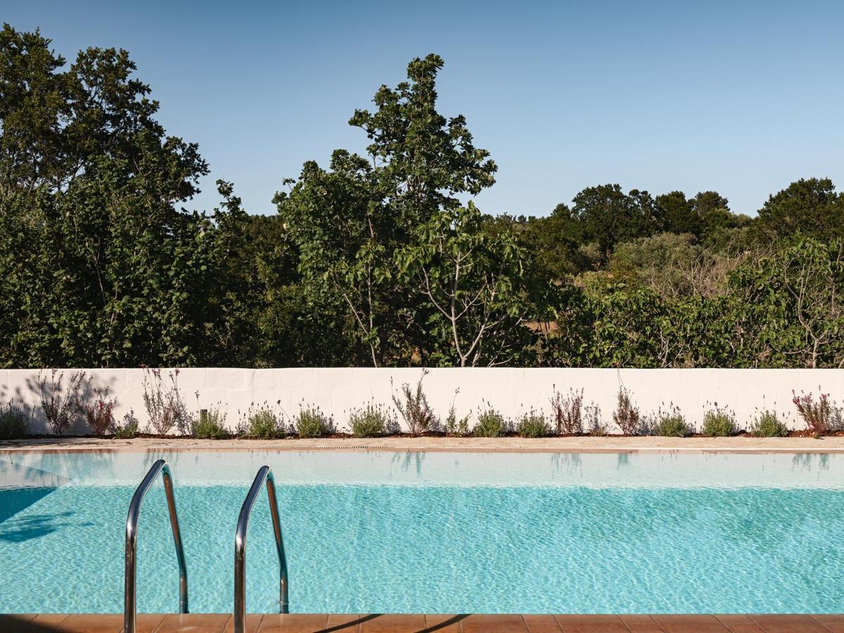 Trulli Del Bosco Bed & Breakfast Alberobello Dış mekan fotoğraf