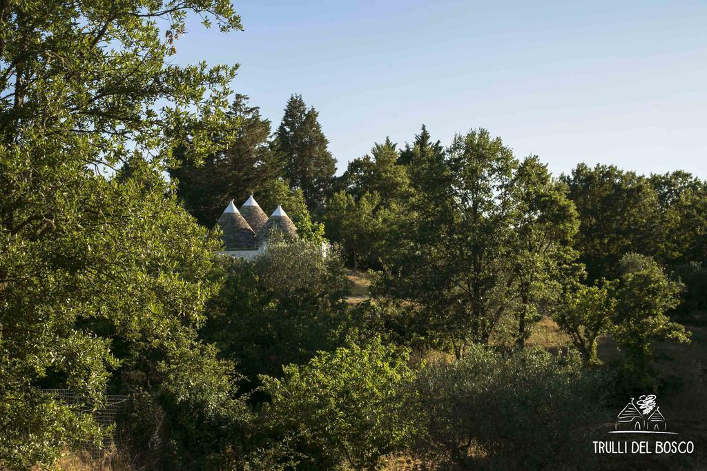 Trulli Del Bosco Bed & Breakfast Alberobello Dış mekan fotoğraf